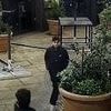Who is this man? Detectives issue appeal after woman in her 30s is sexually assaulted as she walks alone in London in early hours
