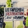 La pétition contre la loi Duplomb passe le cap des 500 000 signatures, ouvrant la voie à un débat sans vote à l'Assemblée