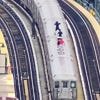 "200 Leben gerettet": New Yorker Polizei jagt leichtsinnige U-Bahn-Surfer