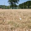Neerslagtekort in Vlaanderen: het zou drie maanden dubbel zoveel moeten regenen als normaal