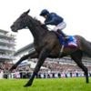 Lambourn storms to Derby win at Epsom  for O'Brien
