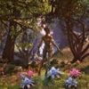 Nach langer Wartezeit: Erster Patch für "Oblivion Remastered" veröffentlicht