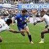RC Vannes. « Ne pas avoir de regrets en fin de saison » : Taccola se confie avant le sprint final