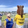 À Saint-Malo, les bénévoles s’attellent à faire du Grand national du trot un moment spécial