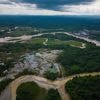 Over 90 arrests made in global crackdown on environmental crime in the Amazon Basin
