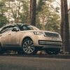 Tata tightens its grip on JLR as the market waters turn choppy