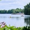 Hohes Bußgeld fürs Wildbaden im Norden Berlins: Damit der Plötzensee nicht kippt