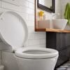 Toilet poetsen met knoflook? Daarom is dat helemaal zo gek nog niet
