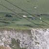 Two dead after car plunges 300ft off cliff at beauty spot 'as horrified holidaymakers watched on'