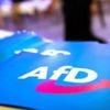 Medien veröffentlichen Gutachten zur AfD: Wenn es völkisch wird, wird es dem Verfassungsschutz zu viel