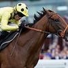 Robin Goodfellow's racing tips: Best bets for Saturday, May 17