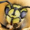 Fotografische Vielfalt – Die Bilder der Woche 30