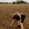 ‘Hoe vroeger je water kunt vasthouden, hoe beter’: experts over oplossingen voor de droogte