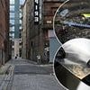 British city turned to hell by crack cocaine, fentynyl and brick-dust heroin so dirty addicts have their limbs chopped off. Deaths are soaring and syringes litter the streets. No wonder users boast to GRAHAM GRANT: 'The police don't bother us'