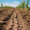 Topeconoom waarschuwt voor financiële risico’s van klimaatverandering, maar ziet ook kansen