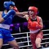 WM in Liverpool: Fehlende Tests - WM-Aus für fünf französische Boxerinnen