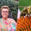 “Nu hebben we schrik voor alles wat buiten rondvliegt en kruipt”: dochter reageert nadat mama Marleen (71) uit Kruisem overlijdt na bijensteek