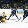 Hockey sur glace. Nouvel entraîneur, formation... Les Corsaires veulent arriver à bon port