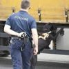 La douane contrôle un bus près de Nice et trouve neuf kilos de cannabis dans une valise