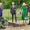 King Charles and Sweden's King Carl XVI Gustaf use 117-year-old spade with special meaning to plant 'beautiful' oak in Windsor