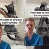 Vet issues warning against 'disappointing' viral pet trend that leaves animals 'panicking and stressed'