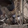 Un des commandants du Hamas a été tué dans une frappe menée par Israël dans le sud du Liban
