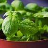Comment conserver ses herbes aromatiques longtemps ? On vous répond