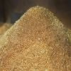 Blei in Gold verwandelt: Teilchenphysiker erfüllen uralten Traum