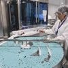 Sanofi donne des gages à Donald Trump, le ministre français de l’Économie grince des dents