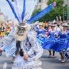 750.000 Besucher: Karneval der Kulturen tanzt im Osten Berlins – Bezirk zufrieden mit neuer Route