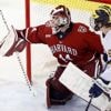Trump's Harvard visa threat could wipe out several of the school's sports teams