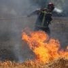 Le risque de feux de forêt toujours élevé en Maine-et-Loire et en Deux-Sèvres