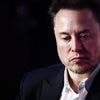 Behandlung von Apps: Elon Musk erwägt Klage gegen Apple