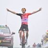 Tour de France 2025 : succès de prestige pour Arensman, la passe d'armes entre Pogacar et Vingegaard, l'abandon d'Evenepoel... Le résumé de la 14e étape