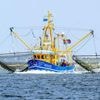 Fischerei: EU-Gericht nickt Fangverbote in der Nordsee ab
