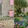 Imaginer son jardin de rêve grâce à l’IA, c’est possible