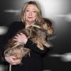 Een van de bekendste honden van Nederland is niet meer: teckel Nhaan van Janny van der Heijden overleden