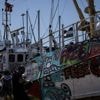 Flotille pour la liberté : deux élues LFI monteront le 18 juillet à bord d'un nouveau bateau humanitaire à destination de Gaza