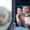 Quelles sont les règles pour prendre le train avec son animal de compagnie ?