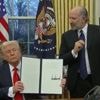 Droits de douane : Donald Trump taxe l'acier et l'aluminium à 50 %