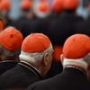 Succession du pape François : les 133 cardinaux électeurs sont arrivés à Rome pour le conclave