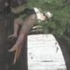 Inondations au Texas : une femme survit en restant accrochée à un arbre