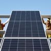La Chine annonce que sa capacité en énergie éolienne et solaire dépasse le thermique pour la première fois