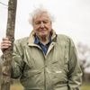 Neu im Kino: Mahnung und Magie: Die Doku „Ozean mit David Attenborough“