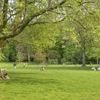 49-jähriger Tatverdächtiger festgenommen: Verbrannte Frau auf Spielplatz im Berliner Volkspark Humboldthain entdeckt