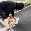 I've lost my job over Tiktok driveway stunt: Builder admits he only has himself to blame for video that falsely claimed drive was torn up after homeowner refused to pay bill