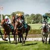 « C’est dur, on vit dans un monde à part » : quand le mal-être des jockeys retraités vire au suicide