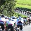 CARTE. Dans les communes, « on est euphoriques » : en Ille-et-Vilaine, quel tracé du Tour de France