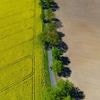 Wetteraussichten: Sonnenschein, etwas Regen und Frost in Berlin-Brandenburg