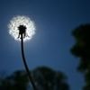Wettervorhersage: Sonne und bis zu 30 Grad für Berlin und Brandenburg